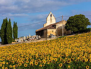 Agrandir l'image (fenêtre modale)