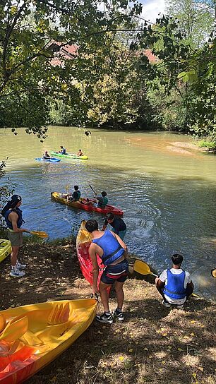 Agrandir l'image (fenêtre modale)