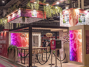 Agrandir l'image (fenêtre modale)