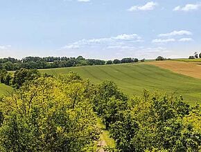 Agrandir l'image (fenêtre modale)