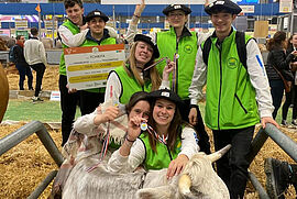 Les élèves du lycées agricole de Mirande ont remporté la première place du Trophée International de l'Enseignement Agricole avec leur vache Tchikita - Agrandir l'image (fenêtre modale)