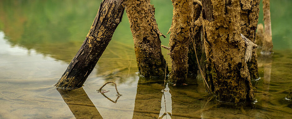 Environ 3000 zones humides sont déjà inventoriées sur le Gers, soit près de 5000 ha d'espaces à préserver