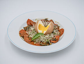 Agrandir l'image (fenêtre modale)