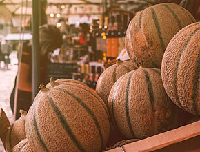 L’association pour la promotion des melons de Lectoure  - Agrandir l'image (fenêtre modale)