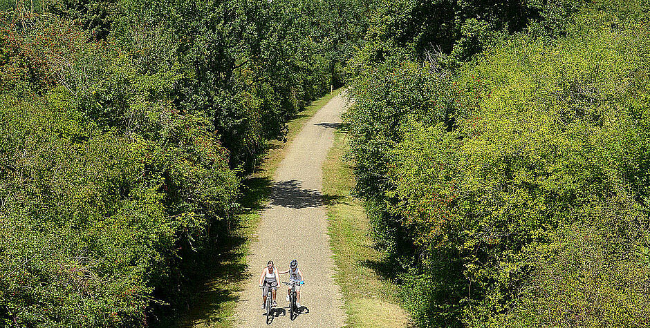 Agrandir l'image (fenêtre modale)