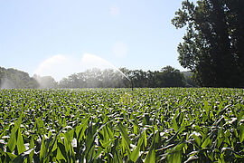 Une stratégie collective pour l'eau de demain