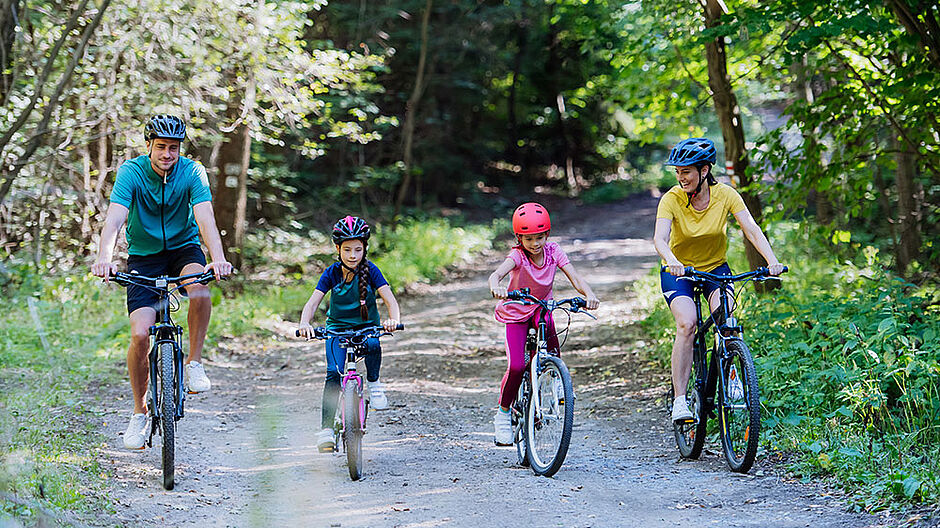 Agrandir l'image (fenêtre modale)