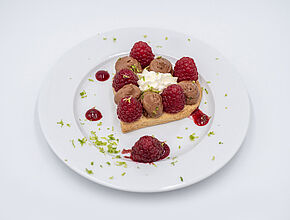 Agrandir l'image (fenêtre modale)