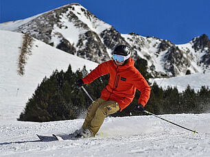 Agrandir l'image (fenêtre modale)