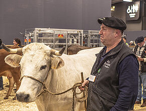 Agrandir l'image (fenêtre modale)