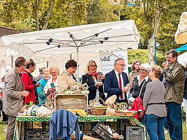 Agrandir l'image (fenêtre modale)