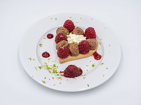 Agrandir l'image (fenêtre modale)