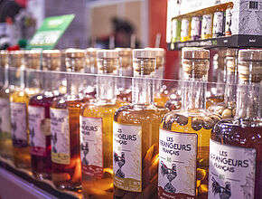 Agrandir l'image (fenêtre modale)