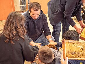 Agrandir l'image (fenêtre modale)