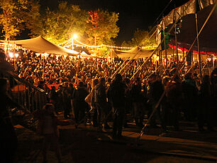 Festival Welcome in Tsiganie - Agrandir l'image (fenêtre modale)