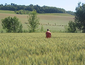 Agrandir l'image (fenêtre modale)