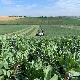 Agrandir l'image (fenêtre modale)