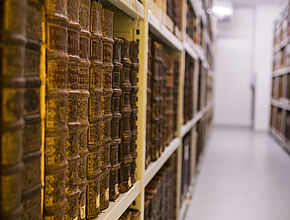 Les Archives sont composés de 23 magasins répartis sur 20 km linéaire - Agrandir l'image (fenêtre modale)