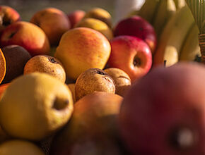 Agrandir l'image (fenêtre modale)