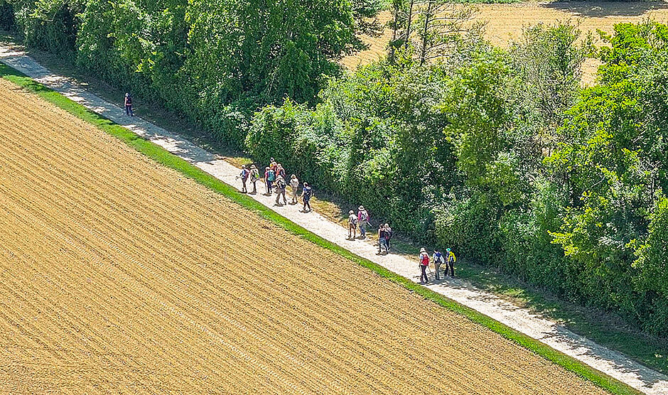 Le Gers, carrefour des itinéraires culturels européens - Agrandir l'image (fenêtre modale)