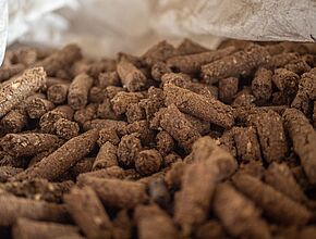 Agrandir l'image (fenêtre modale)