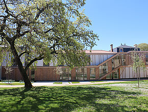 Agrandir l'image (fenêtre modale)