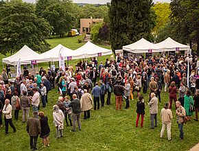 Agrandir l'image (fenêtre modale)