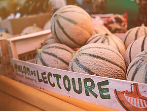 L’étal de l’association pour la promotion des melons de Lectoure - Agrandir l'image (fenêtre modale)