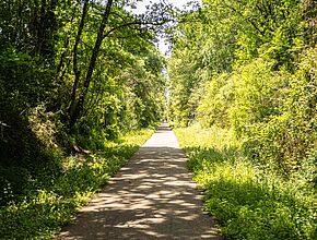 Agrandir l'image (fenêtre modale)