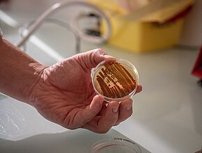 Agrandir l'image (fenêtre modale)