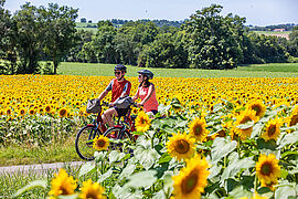 La Route Européenne d'Artagnan se vit à pied, à cheval ou à vélo - Agrandir l'image (fenêtre modale)