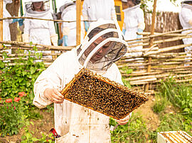 Agrandir l'image (fenêtre modale)