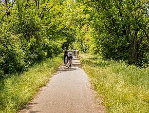 Le dernier tronçon de la voie verte permet désormais de relier Eauze à Condom - Agrandir l'image (fenêtre modale)