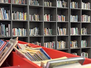 Agrandir l'image (fenêtre modale)