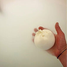 Une mozzarella locale aux saveurs gersoises - Agrandir l'image (fenêtre modale)