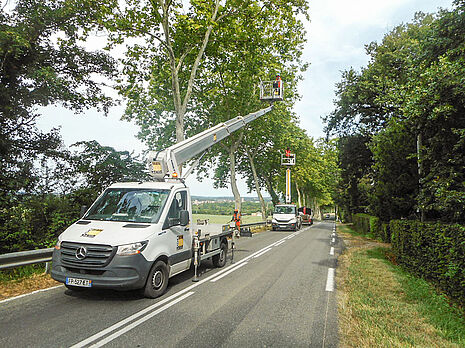 Elagage des arbres en bord de route