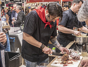 Agrandir l'image (fenêtre modale)