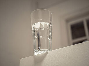 Agrandir l'image (fenêtre modale)