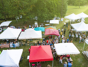 Agrandir l'image (fenêtre modale)