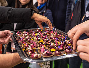 Agrandir l'image (fenêtre modale)