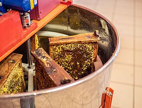 Agrandir l'image (fenêtre modale)