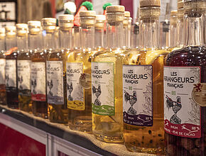 Agrandir l'image (fenêtre modale)