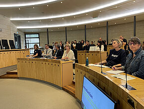 Agrandir l'image (fenêtre modale)