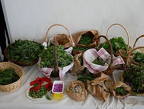 Agrandir l'image (fenêtre modale)