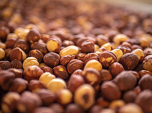 Les noisettes peuvent se déguster en version grillées nature ou grillées au piment d'espelette - Agrandir l'image (fenêtre modale)