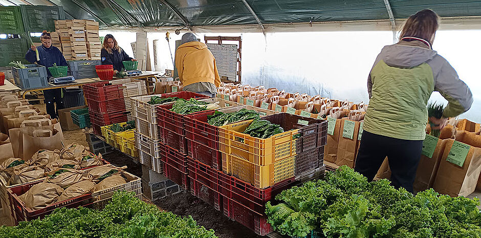 Les paniers solidaires de Terra ferma permettent à des familles d'accéder à des produits locaux et de saison