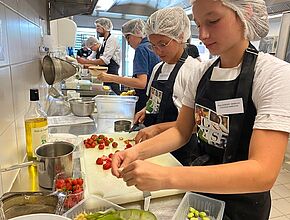 Agrandir l'image (fenêtre modale)