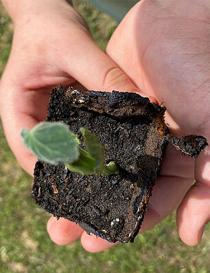 Le collège Louise Michel a développé plusieurs initiatives de développement durable - Agrandir l'image (fenêtre modale)