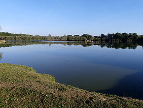 Agrandir l'image (fenêtre modale)