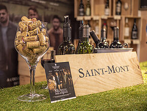 Agrandir l'image (fenêtre modale)